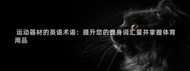 意昂体育3招商电话是多少: 运动器材的英语术语:提升您的健身