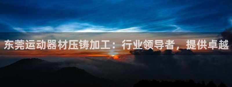 意昂集团官网:东莞运动器材压铸加工:行业领导者,提供卓越